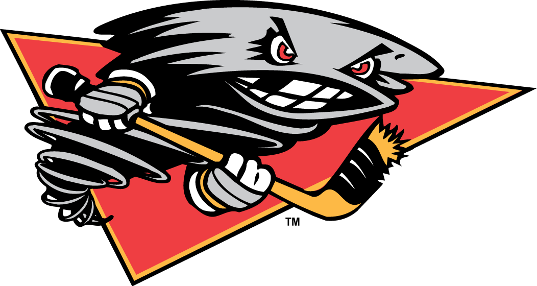 Cincinnati Cyclones 2001 02-2013 14 Alternate Logo vinyl decal